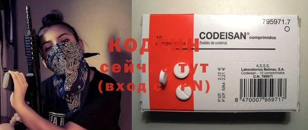 крисы Магас