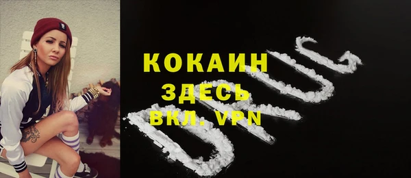 крисы Магас