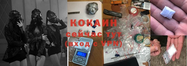 шишки Лиски