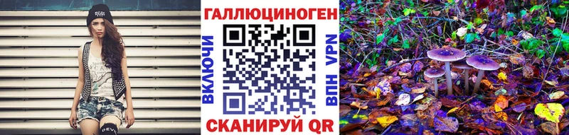 нарко площадка телеграм Медногорск Псилоцибиновые грибы прущие грибы