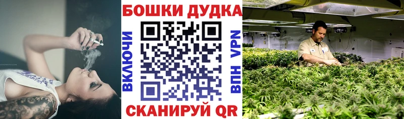 площадка какой сайт  гидра tor  Конопля семена  Медногорск  цена  